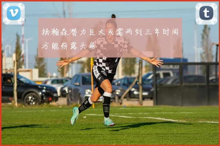 杨瀚森潜力巨大或需两到三年时间方能崭露头角